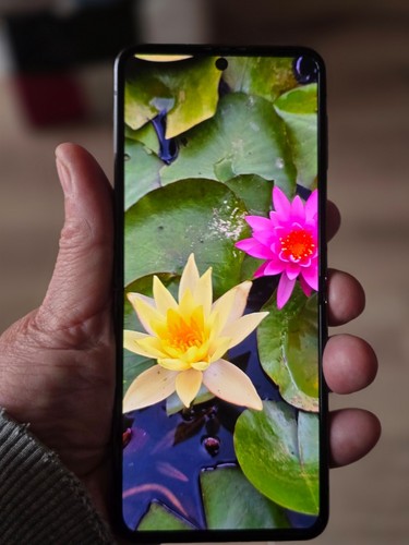 Samsung galaxy flip4 - samsung,
