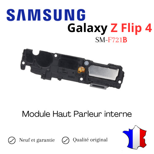Module haut parleur - haut,